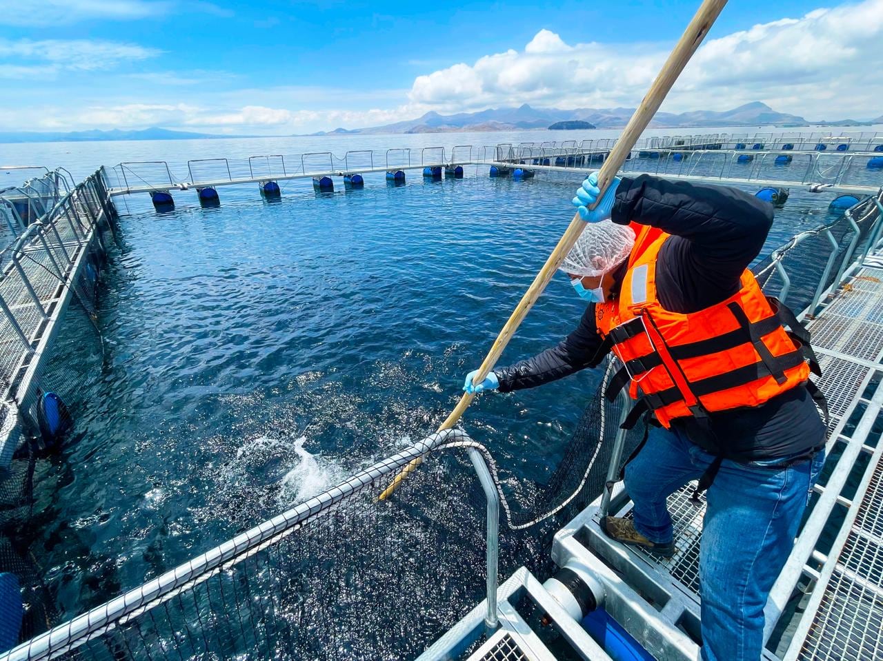 Este cambio incentivará el crecimiento del comercio de los productos hidrobiológicos a nivel nacional. (Foto: Sanipes)
