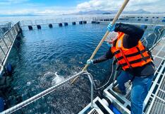 Eliminan requisitos para simplificar emisión de registros sanitarios para productos pesqueros