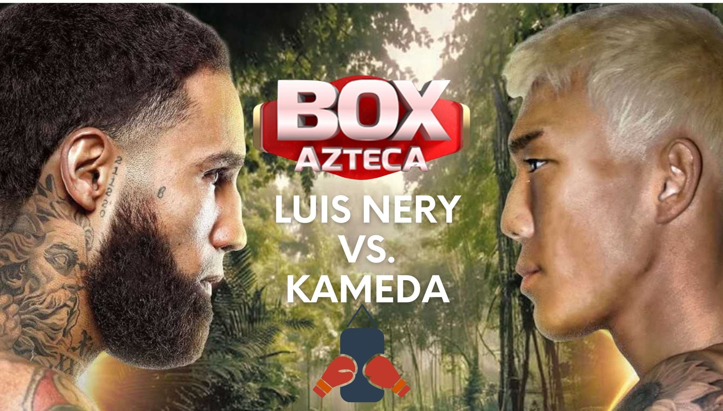 Cobertura oficial de BOX en TV Azteca 7 para mirar la pelea Luis "Pantera" Nery vs. Kameda este sábado 22 de febrero desde el Auditorio Municipal de Tijuana, Baja California (Foto: BOX Azteca 7)