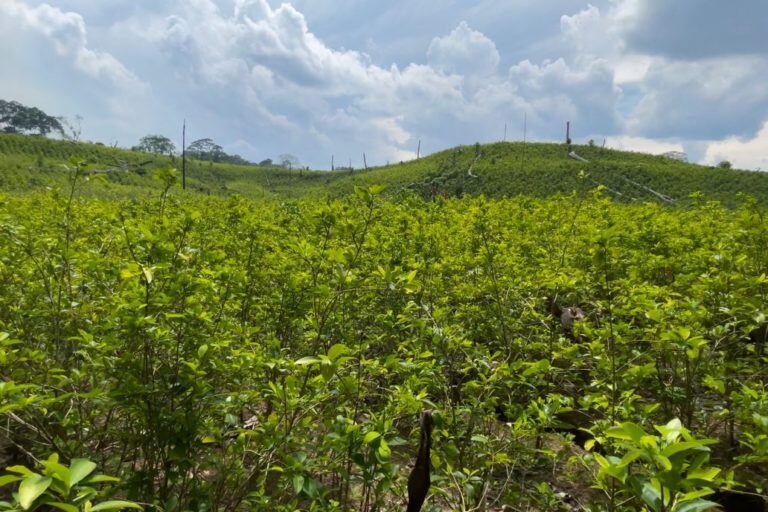 Las organizaciones mexicanas también criticaron la falta de voluntad política en el Congreso para impulsar iniciativas de cambios legales para prohibir las fracturas hidráulicas en México. (Foto: archivo)