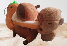 ¿Adiós al negocio de los capibara?: todo sobre el registro de su marca en Indecopi