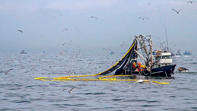 Pesca: Desembarque de primera temporada de anchoveta 2020 será superior en 17.4% al año pasado 