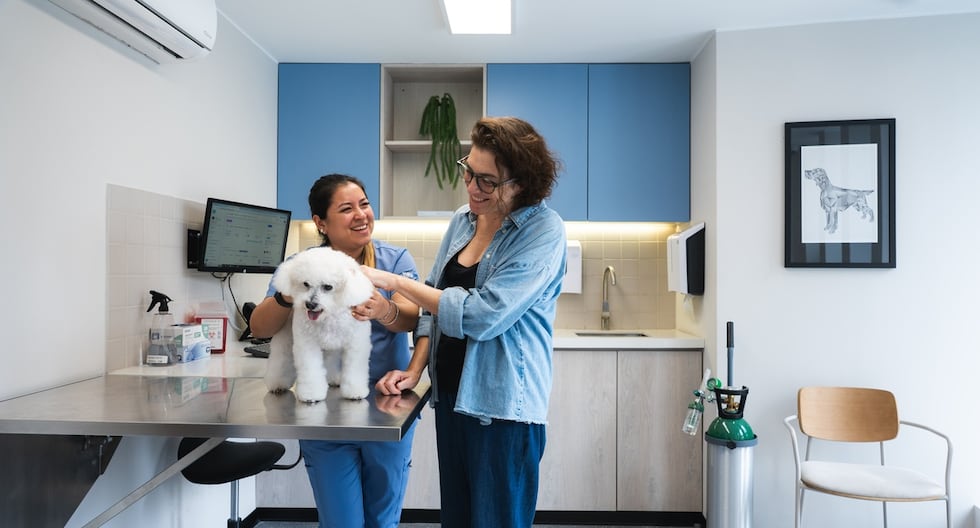 HeyVet amplía presencia en Perú con nuevas clínicas para mascotas