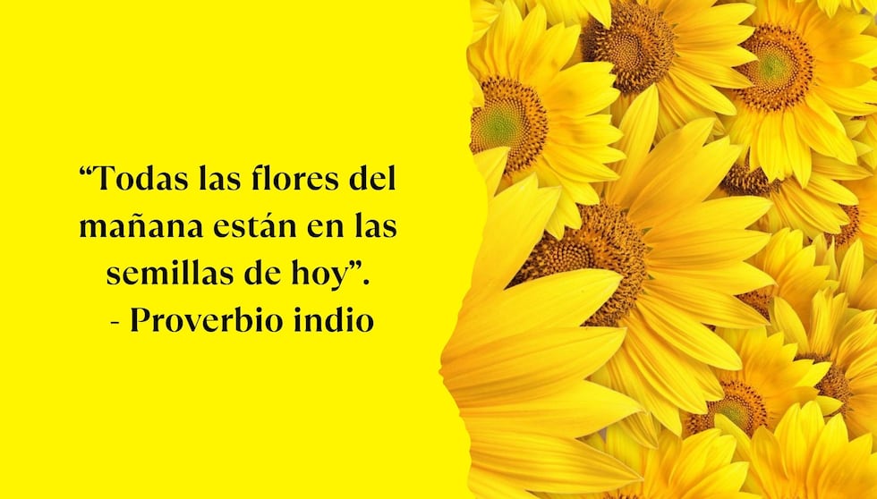 “Todas las flores del mañana están en las semillas de hoy”. - Proverbio indio | Foto de Pinterest.