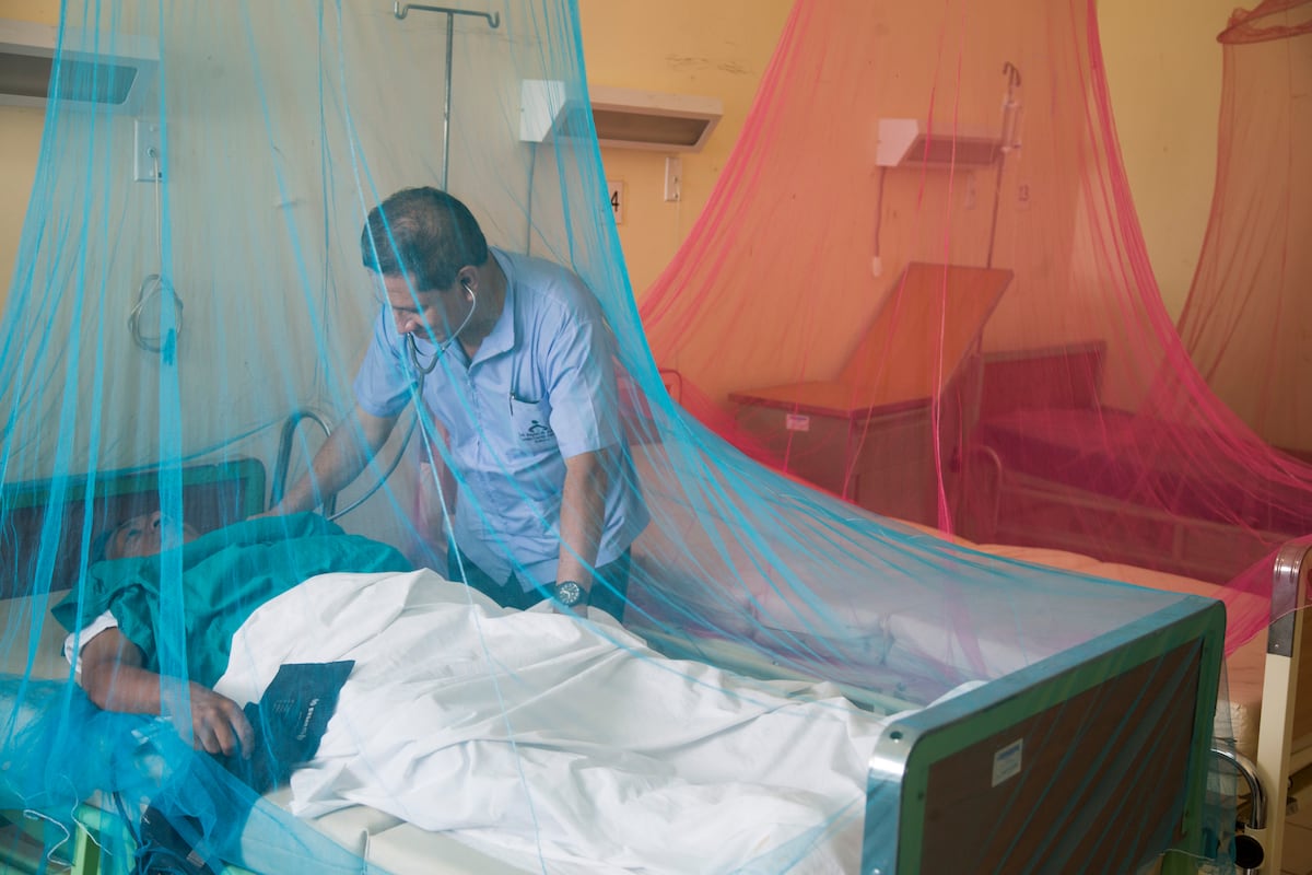 Dengue en Perú.
