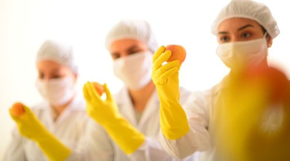 El negocio transferido comprende extractos botánicos e ingredientes naturales para las industrias de alimentos, bebidas y nutrición. (Foto referencial)