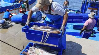 Sector pesquero peruano detiene sus envíos a Rusia y hay tres factores que aún preocupan