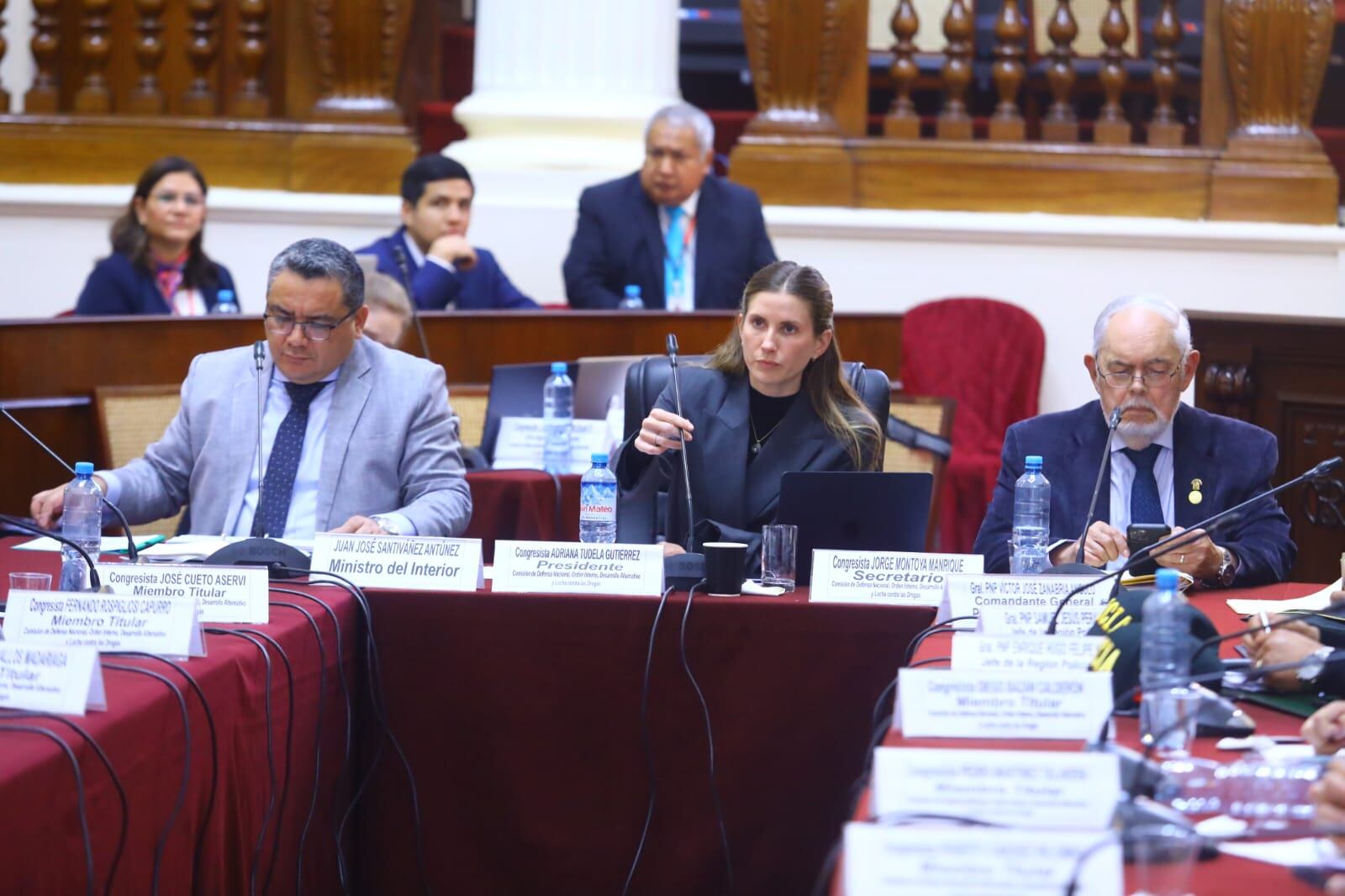 La Comisión de Defensa Nacional y Orden Interno, Desarrollo Alternativo y Lucha contra las Drogas, presidida por la congresista Adriana Tudela, Foto: Congreso.