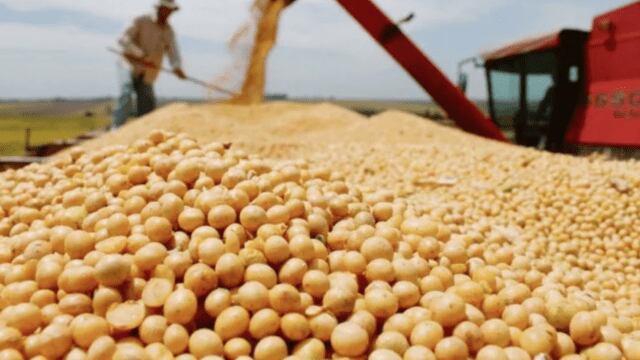 Fin del acuerdo del cereal “apenas” impactará en precios mundiales a corto plazo