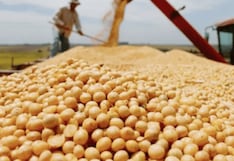 Soja de Argentina crece en óptimas condiciones de humedad tras lluvia