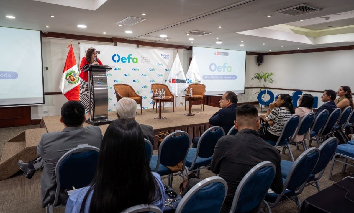 Más de 400 representantes de los subsectores Vivienda y Construcción participaron en la capacitación organizada por el OEFA para fortalecer el cumplimiento ambiental. Foto: OEFA.