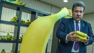 Innovación y no bajar los precios, dos mensajes claves en Congreso del Banano