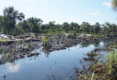 Proponen el uso de radiación solar en Perú para la transición a la energía renovable
