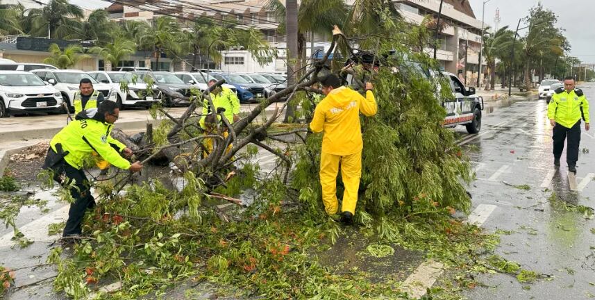 Policías y miembros de Protección Civil levantan árboles caídos tras el paso del huracán Berly. Foto: EFE