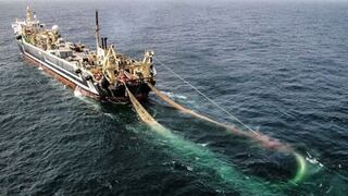 Viceministro Soldi niega pesca ilegal de pota por parte de embarcaciones chinas