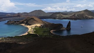 Científicos y académicos trazarán hoja de ruta para “descarbonizar” las Islas Galápagos