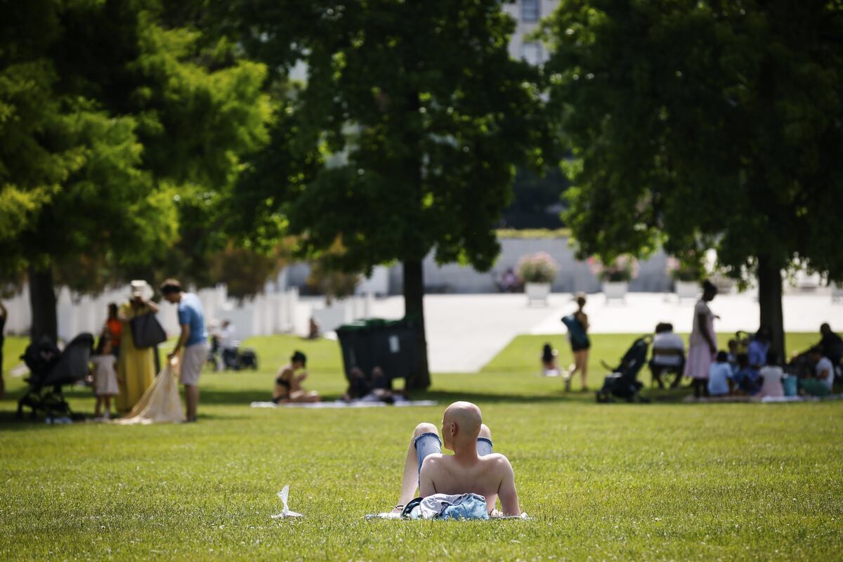 Un hombre toma el sol en un parque el sábado 18 de junio de 2022 en París. (AP Photo/Thomas Padilla)