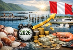 ¿Habrá “ola acuícola” en 2026? Produce activará beneficios tributarios para el sector