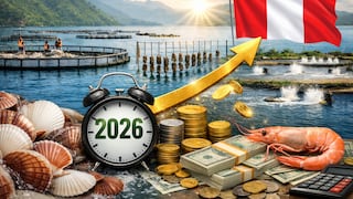 ¿Habrá “ola acuícola” en 2026? Produce activará estos beneficios tributarios para el sector