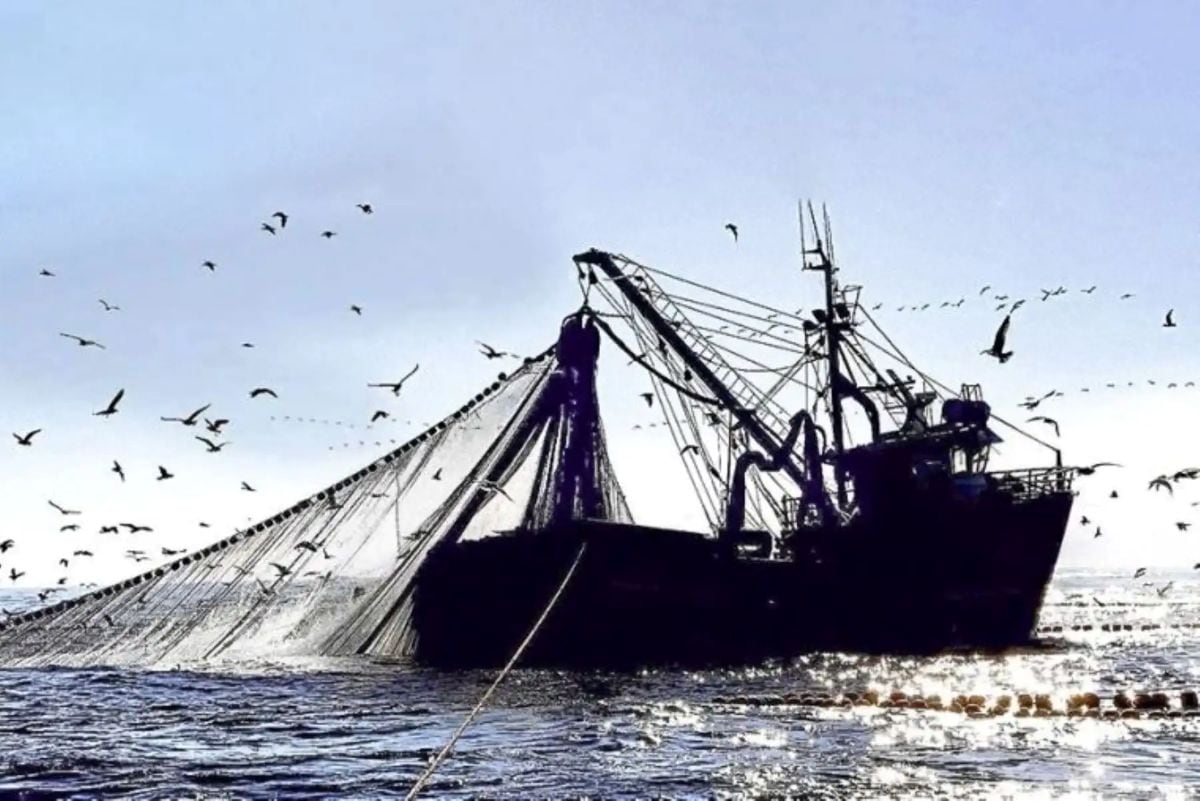 Pesca industrial en altamar: el uso de datos y analítica avanzada impulsa mayor eficiencia, trazabilidad y sostenibilidad en el sector. Foto: Andina.