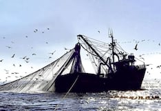 “Maretazo” en la pesca peruana por El Niño: ¿se podría repetir crisis del 2023?