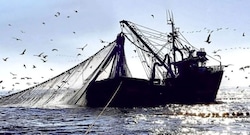 “Maretazo” en la pesca peruana por El Niño: ¿se podría repetir crisis del 2023?