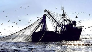 ¿Peligra la pesca? Lo que se evalúa para la nueva temporada de anchoveta