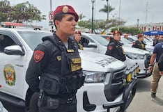 Aprueban Plan Nacional de Seguridad Ciudadana y Lucha contra la Criminalidad: Las medidas