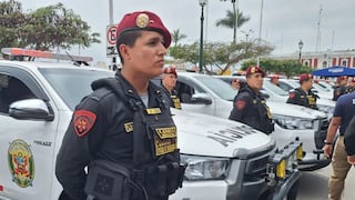 Aprueban Plan Nacional de Seguridad Ciudadana y Lucha contra la Criminalidad: Las medidas