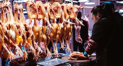 ¿Gripe aviar “empujará” el precio del pollo? Así funciona el mercado avícola de Perú