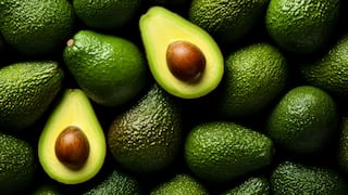 Westfalia Fruit Peru apuesta por nuevas variedades de palta para liderar mercado