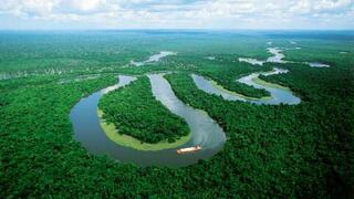 En jaque la seguridad climática del planeta por la destrucción de la Amazonía