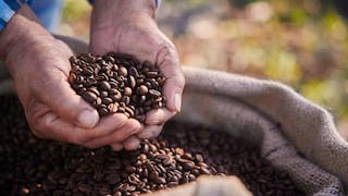 Perú en el top diez de productores de café arábico a nivel mundial: ¿qué puesto ocupa?