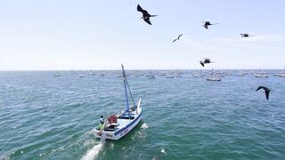 COP 20: Produce suscribirá diez compromisos por la pesca responsable y sostenible