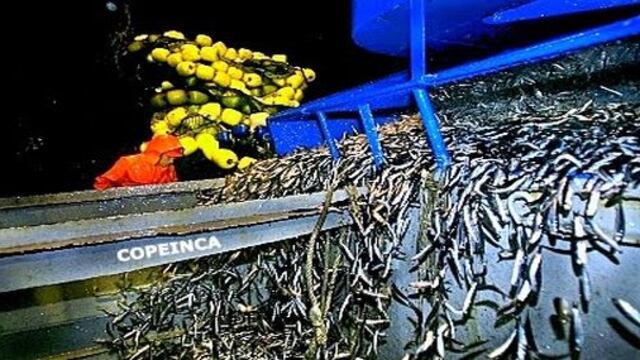 Copeinca logra acuerdo preliminar para vender sus acciones a China Fishery por US$ 836 millones