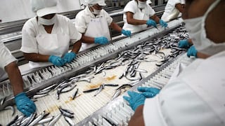 Aceite de pescado “en rojo”: exportaciones retroceden, pero pesqueros explican la razón
