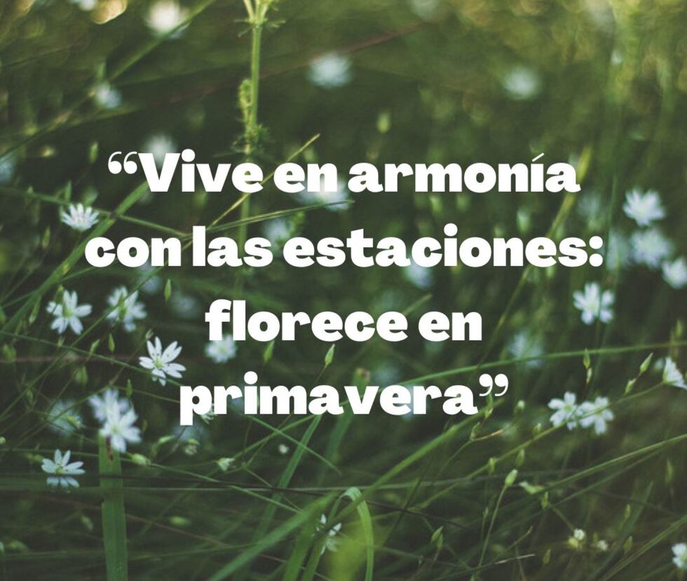 "Vive en armonía con las estaciones: florece en primavera". (Foto: Composición Mix/Canva)