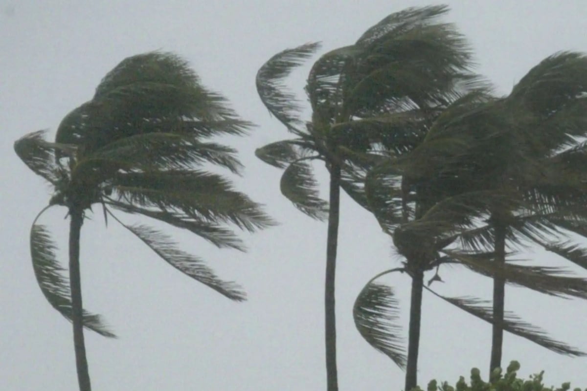 Habrá ráfagas de viento con velocidades cercanas a los 35 km/h, principalmente durante horas de la tarde. (Foto: Andina)
