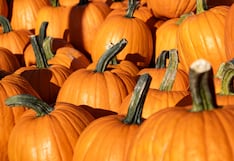 E. coli en una granja de calabazas de Illinois: síntomas a vigilar y cómo protegerte