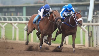 Jockey Club e inversiones a ritmo de “galope” hacia un salto en ingresos