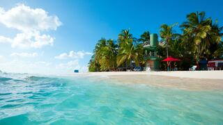 Varias islas del Caribe desaparecerán si sigue subiendo el nivel del mar, advierte la OEA