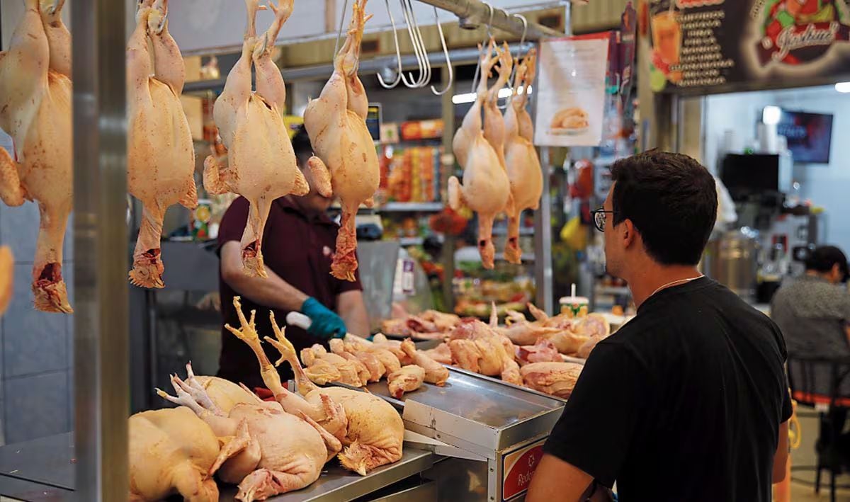 21 de marzo del 2011. Hace 15 años. Precio del pollo se acerca a su máximo histórico.