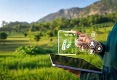 Oportunidades de negocio: los servicios que se demandan ante el cambio climático