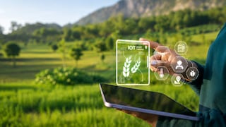 Oportunidades de negocio: los servicios que se demandan ante el cambio climático