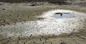 Avances en el combate del cambio climático