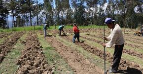 Políticas Agropecuarias: Retos para el Bicentenario