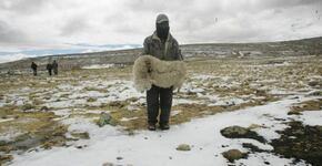 Del frío de la burocracia a las heladas de la Sierra