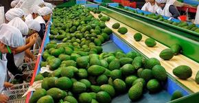 Escenarios de riesgo y oportunidades para el agro peruano