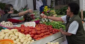 LA APUESTA DE LA AGRICULTURA POR LA SEGURIDAD ALIMENTARIA