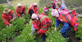 Agricultura familiar y pobreza rural